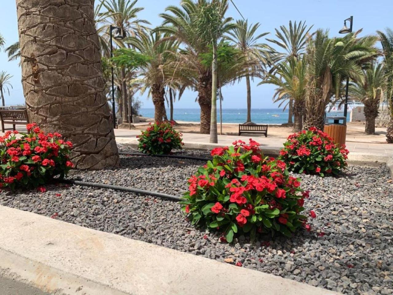 Appartement Royal View - Cristianos