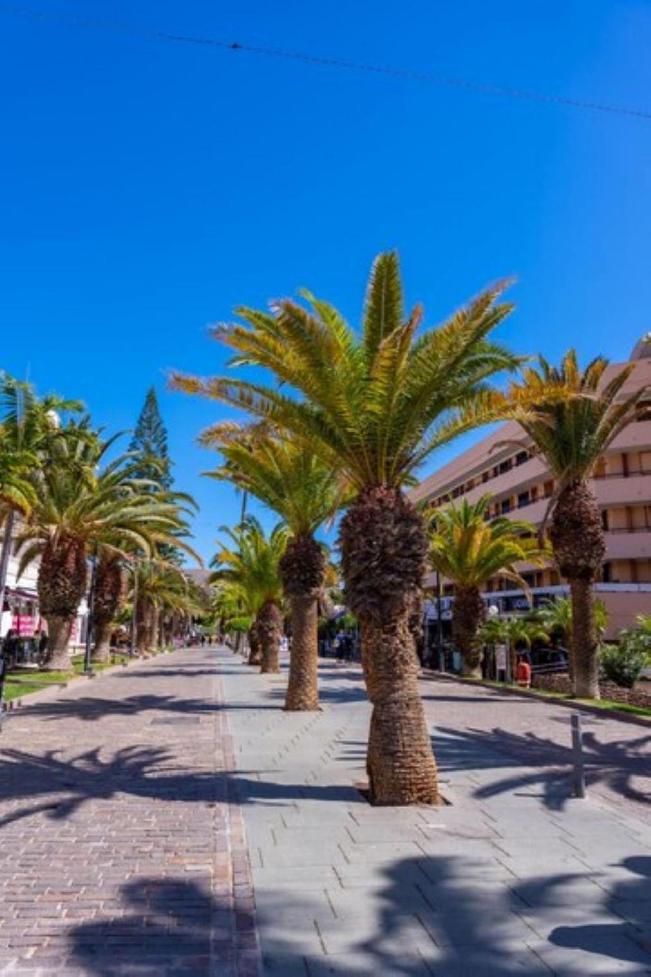 Royal View - Cristianos Appartement Los Cristianos (Tenerife)
